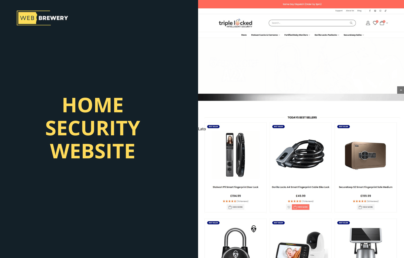 Home Security Website