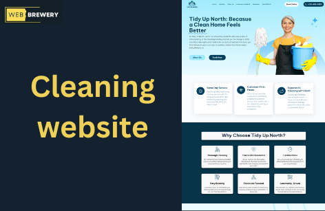 Cleaning Website